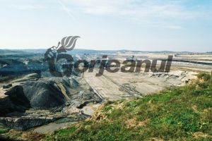 CEO, criticată din nou de ecologişti