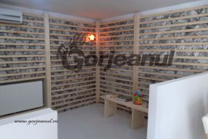 Aproape zece mii de şedinţe individuale de haloterapie, efectuate la Salina „Tudor Vladimirescu”, în acest an