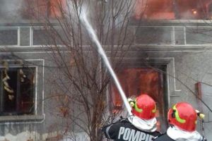 Emoţionant! O căţeluşă a vrut să sară în foc să îşi salveze cei şapte pui