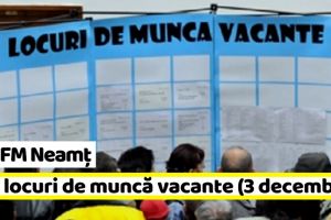 AJOFM Neamţ: 426 locuri de muncă vacante la data de 3 decembrie 2018