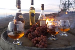 Eiswein, vinul dumnezeiesc al companiei Jidvei: În podgoria de la Tăuni, după 7 ani, s-au întrunit din nou condiţiile pentru a recolta struguri de gheaţă