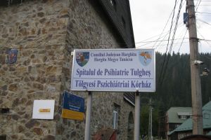 Urşii se plimbă prin curtea spitalului de la Tulgheş