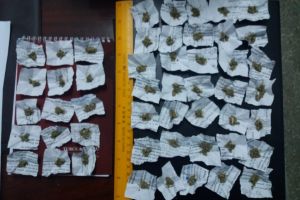 Constanta. Fragmente de substanta vegetala, descoperite in geaca unui adolescent de 16 ani