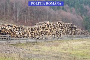 Delictele silvice, în atenţia poliţiştilor