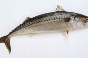 Al cincilea produs alimentar romanesc protejat la nivel european, scrumbia de Dunare afumata