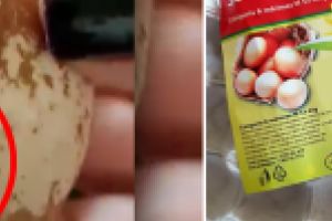 Replica Kaufland Romania, dupa clipul cu ouale vopsite: “Kaufland Romania sustine producatorii romani si produsele locale sunt prima optiune in politica de achizitie a companiei”