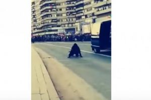 Video viral. O angajată SRI a căzut din autospecială, la parada de 1 Decembrie din Alba Iulia