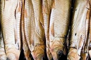 SCRUMBIA de Dunăre AFUMATĂ, al cincilea PRODUS românesc RECUNOSCUT şi protejat în UE