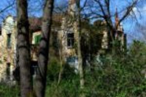 S-a votat! Vila Popov se transformă în centru de zi pentru bătrânii Caransebeşului. Lipsesc doar banii…