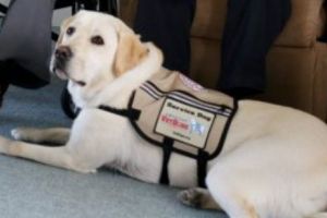 „MISIUNEA COMPLETĂ”. Câinele de pază lângă sicriul lui George HW Bush. Imagine virală