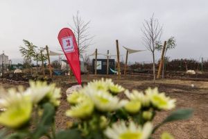 FOTO. Grădină urbană în Cetatea Alba Carolina: Livadă, spaţiu pentru evenimente, hamace şi zonă de relaxare