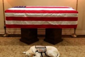 Breaking News. Fostul PREȘEDINTELE, condus pe ULTIMUL DRUM