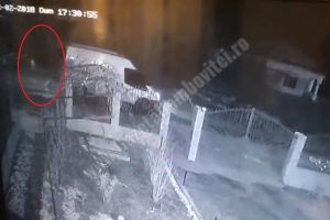 Detalii macabre ale accidentului de la Hulubeşti. Ce a făcut şoferul şi familia acestuia la căpătâiul mortului