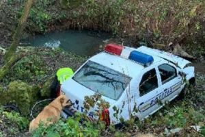 Doi poliţişti au căzut cu maşina într-o râpă