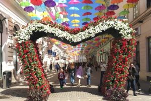 Timfloralis ajunge şi în Piaţa Unirii în 2019