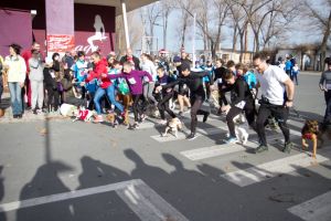 ZIP ESCORT si EXCLUSIV AUTO sustinatori ai 