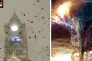 Apocalipsa? Ciorile au luat cu ASALT BISERICA înainte de a lovi TORNADA. Video în articol