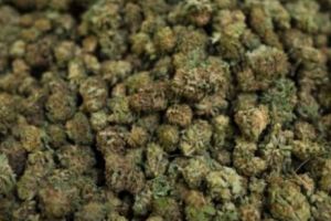 Șocant! Țigarete cu cannabis, produse de un brand celebru. Anunţ pentru toţi fumătorii
