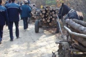 Lemnele nu le-au ţinut de CALD, fiindcă… au intrat la RĂCOARE!