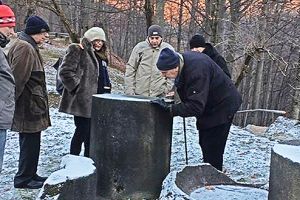 Experţi internaţionali, la Regia