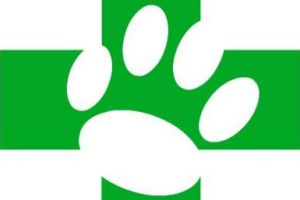 Amenzi pentru o farmacie veterinară din Târgu-Jiu şi pentru angajata unui magazin alimentar din Stoina