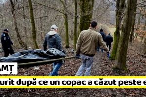 Neamţ: Un bărbat a murit după ce un copac a căzut peste el
