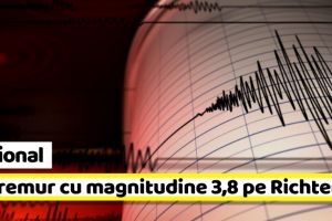 Naţional: Cutremur cu magnitudinea 3,8 pe scara Richter. Al doilea în şase ore