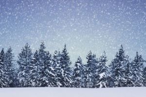 Se întorc ninsorile – Zonele în care va ninge