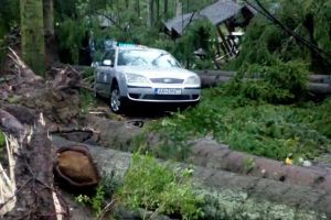 Aţi fost AFECTAȚI de FURTUNĂ? Acum puteţi să vă faceţi singuri EVALUAREA DAUNELOR