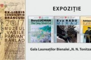 Bârladul cultural: Expoziţii de excepţie