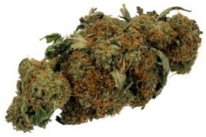 Arest la domiciliu pentru o femeie din Baia Mare. Afla motivul