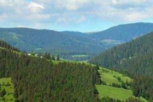 EXPLOZIV! Cum funcţionează MAFIA RETROCEDĂRILOR. Acuzaţii RiseProject pentru tatăl unui EUROPARLAMENTAR