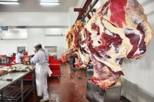 DSVSA Alba: CONTROALE în pieţe, târguri, abatoare şi în traficul rutier, pentru prevenirea răspandirii Pestei Porcine Africane în perioada Sărbatorilor de iarnă 2018