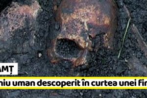 Neamţ: Craniu uman descoperit în curtea unei firme