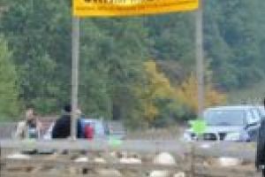 Baciul bănăţean şi cu cel vrâncean…. Mioriţa 2018, scandal între ciobanii din estul judeţului Timiş