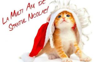 MESAJE de SFANTUL NICOLAE 2018. Idei de URARI şi FELICITARI pe care le poţi trimite celor care îşi sărbătoresc onomastica