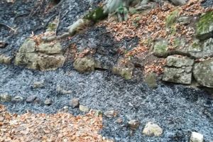 Anchetă pentru distrugerile de la Feţele Albe