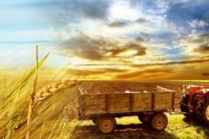 APIA a achitat un avans de peste 1 miliard de euro la subvenţiile pentru fermieri