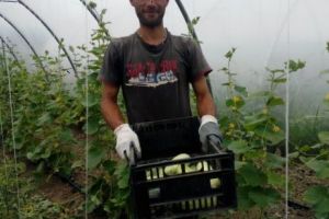 Îşi caută fraţii risipiţi prin orfelinate. Cazul unui erou neştiut al României. Reportaj EvZ