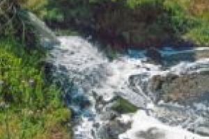 Bani pe apa… murdară! Amenzi uriaşe pentru apele poluate, deversate în râul Timiş