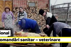 Naţional: Recomandări ANSVSA pentru perioada sărbătorilor de iarnă