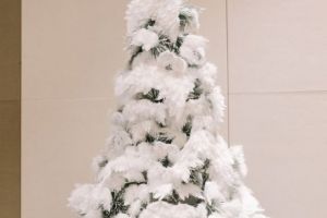 Festivalul Brazilor pe ultima sută de metri