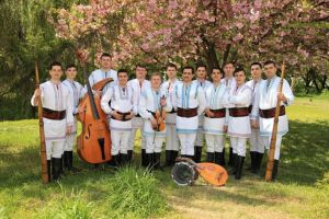 Ansamblul etnofolcloric 