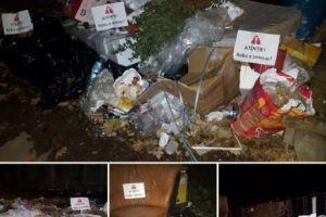 ”Cadou” PSD-ist pentru edilul Timişoarei, de Moş Nicolae I GALERIE FOTO 