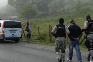 ”Haiduci” din Argeş, arestaţi după ce au furat oi din stânile de la Sibiu