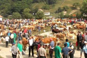 Un fermier din Apuseni a vândut tot ce a avut şi va pleca la muncă în străinătate, nemulţumit de situaţia din agricultură