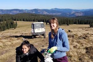 Activităţile de igienizare şi de refacere a marcajelor, desfăşurate de studenţi ai USV ...