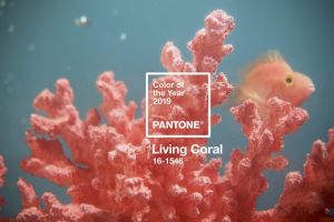 Culoarea anului 2019, aleasă de Pantone