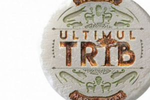 S-a AFLAT! Cine a CÂȘTIGAT concursul ULTIMUL TRIB 