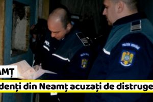 Neamţ: Doi studenţi nemţeni, cercetaţi pentru că au stricat un mouse şi o plită electrică